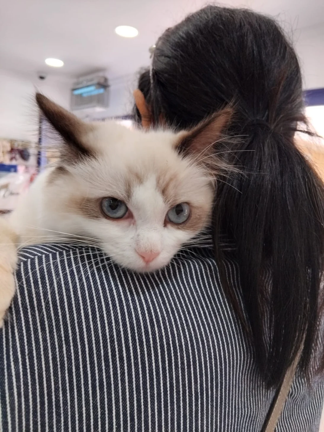 Customer review photo