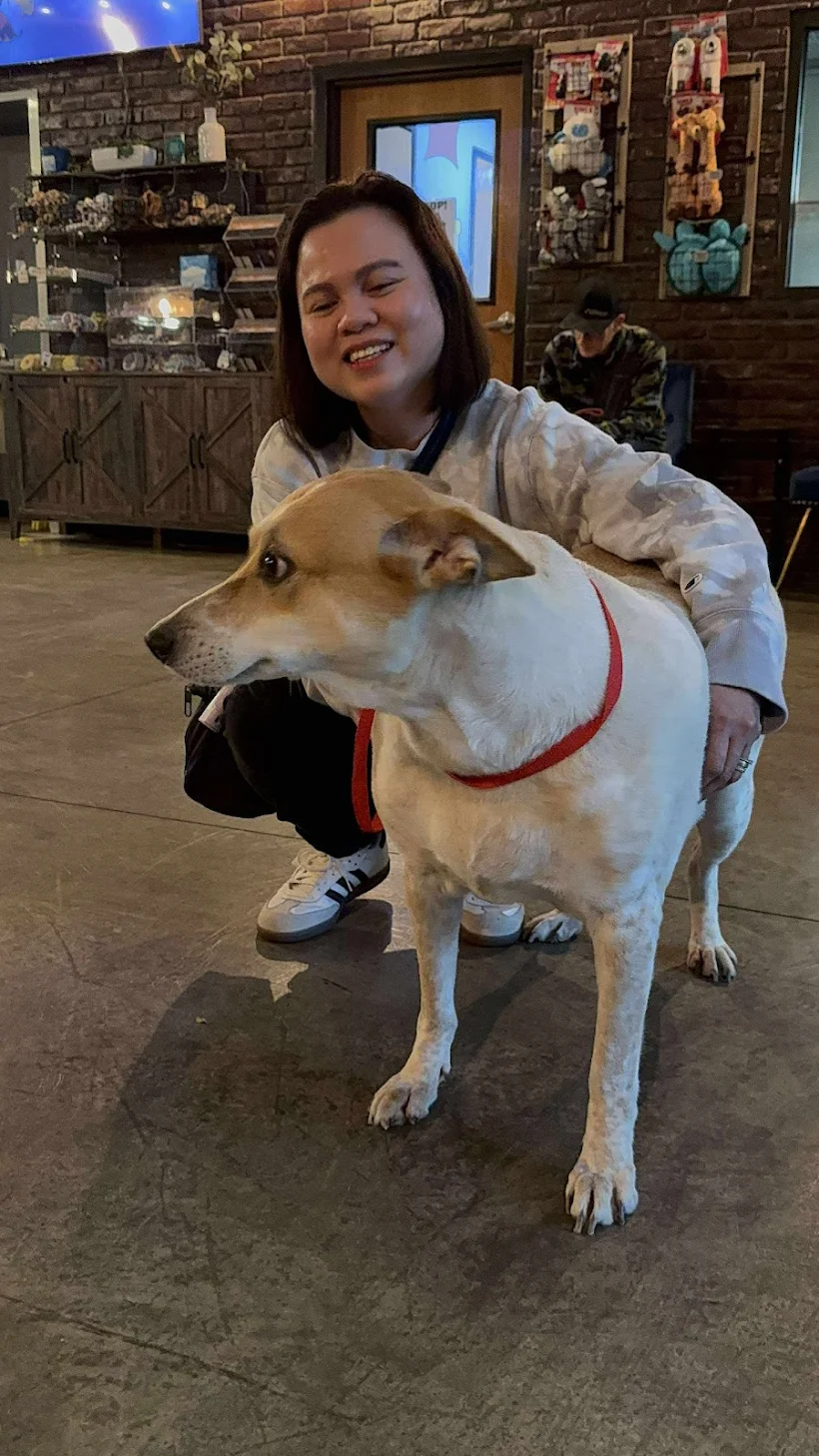 Customer review photo