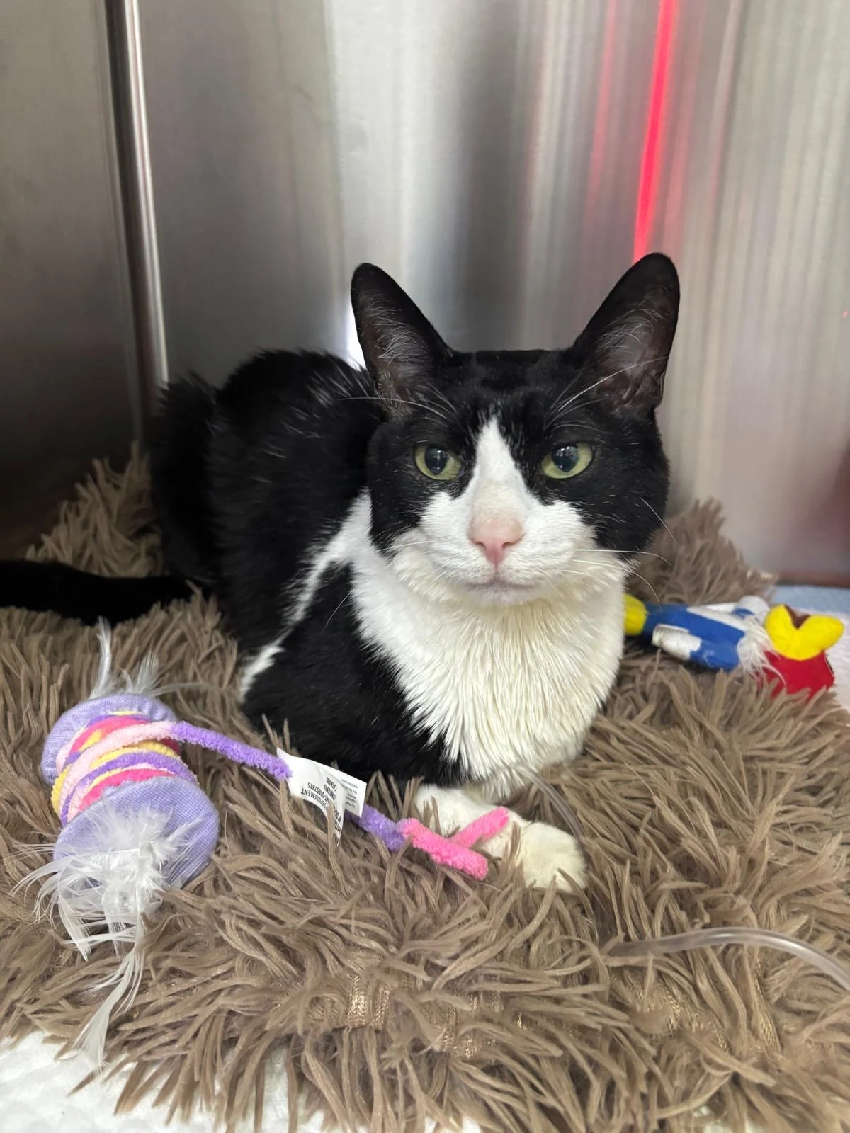 Customer review photo