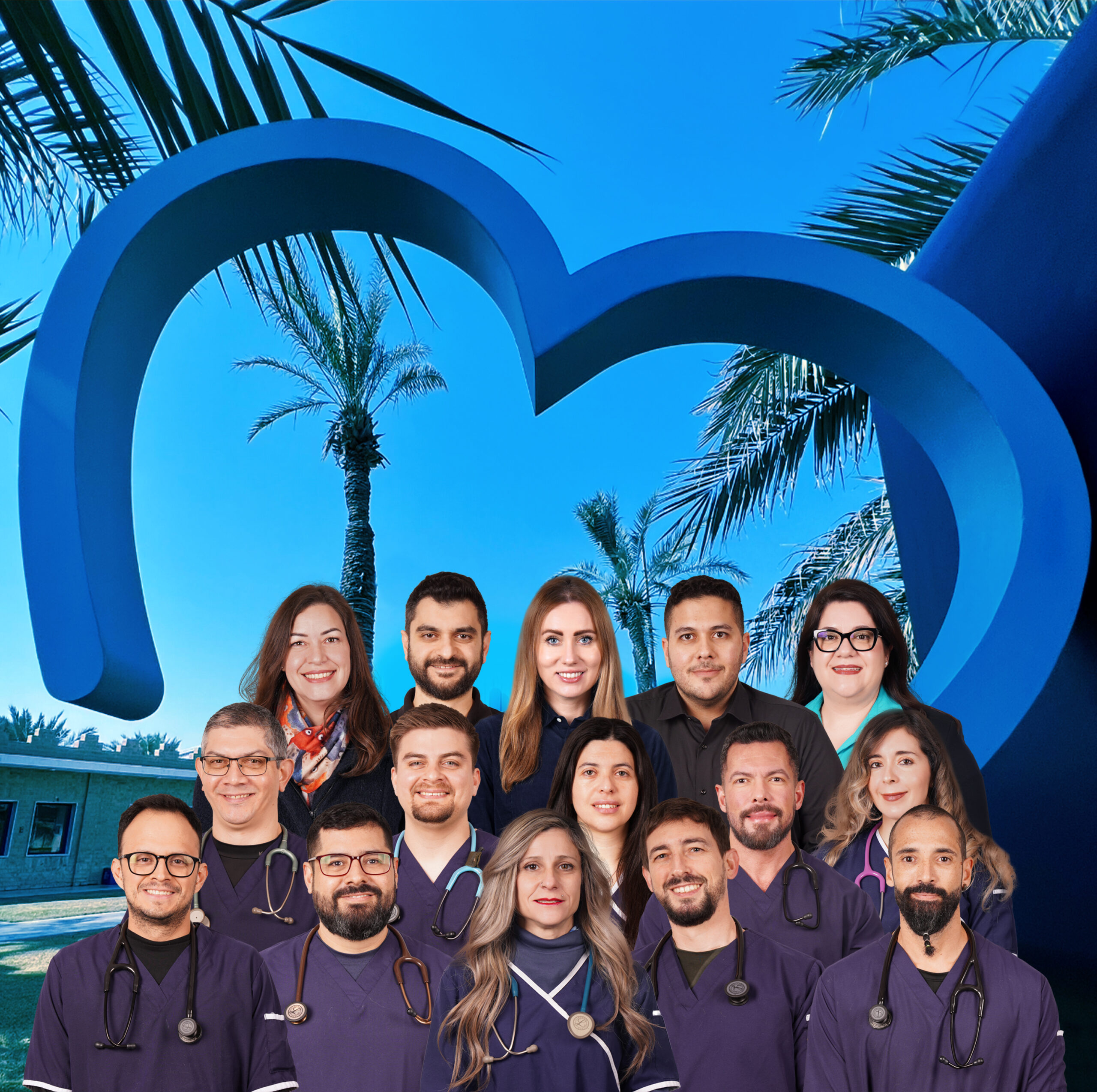 فريق المستشفى البيطري الدولي