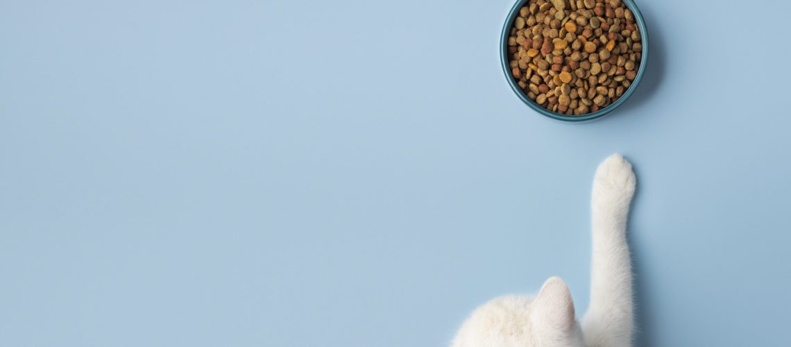 02- Cats Feline Diet & Nutrition[1140 × 500px]  [Recovered]